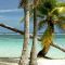GUADELOUPE ONLY ACCOMMODATION PACK