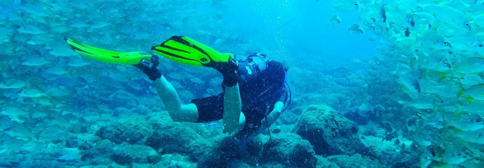 DIVING & SNORKELING IN TENERIFE