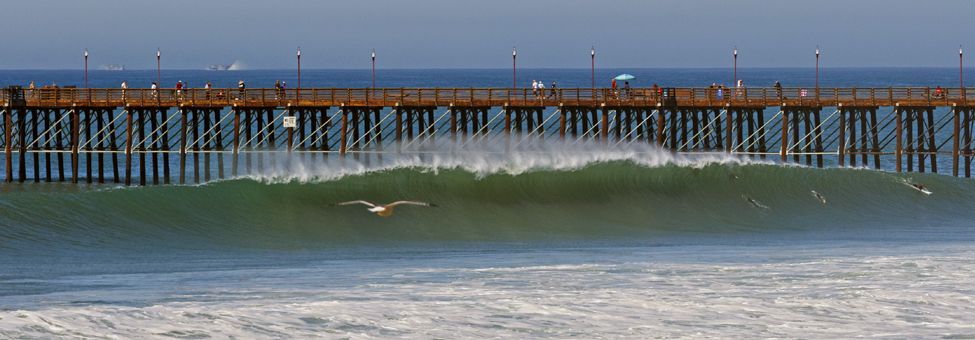 SURFING IN SOUTH CALIFORNIA