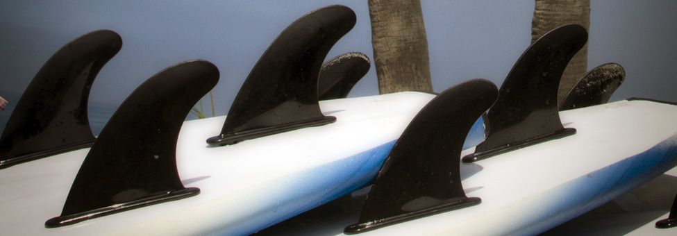 SURF SCHOOL IN MIRLEFT