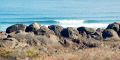 LANZAROTE PRIVATE OR SMALL GROUP SURF  PACK