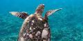 Maldive Jails Surf Pack con Lorenzo Castagna
