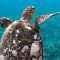Maldive Jails Surf Pack con Lorenzo Castagna