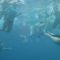 Maldive Jails Surf Pack con Lorenzo Castagna