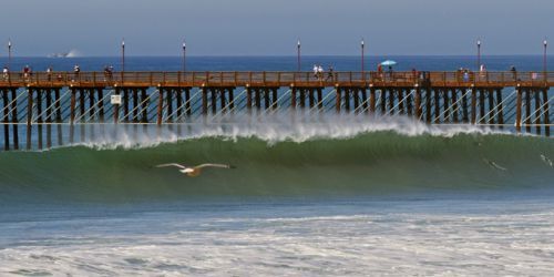 SURFING IN SOUTH CALIFORNIA